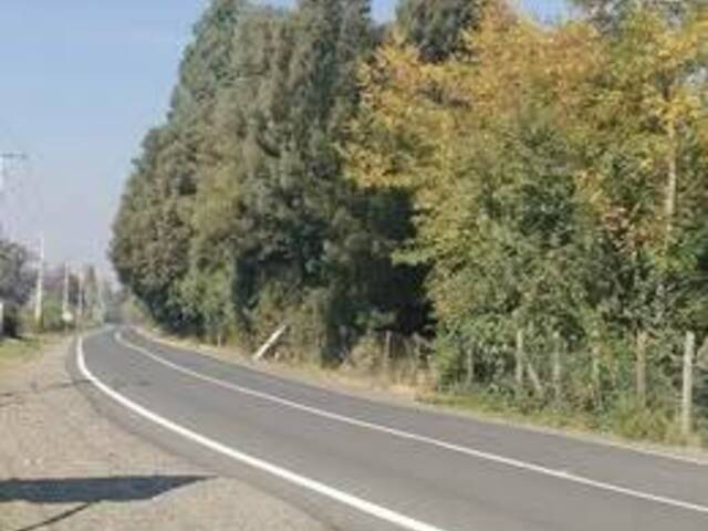 #78 - Área para Venta en Chillán - VIII