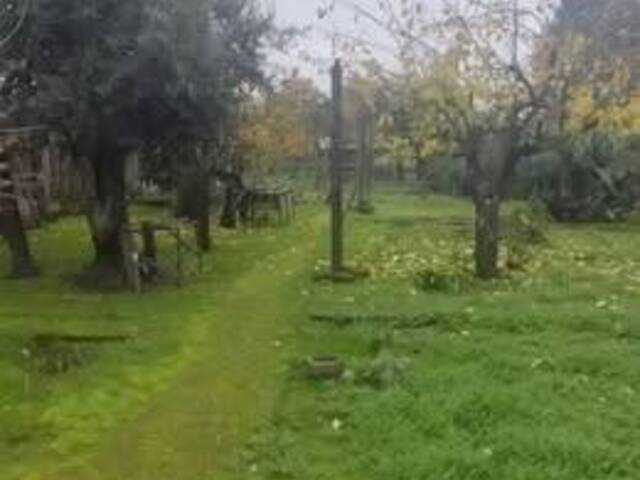  en  - 