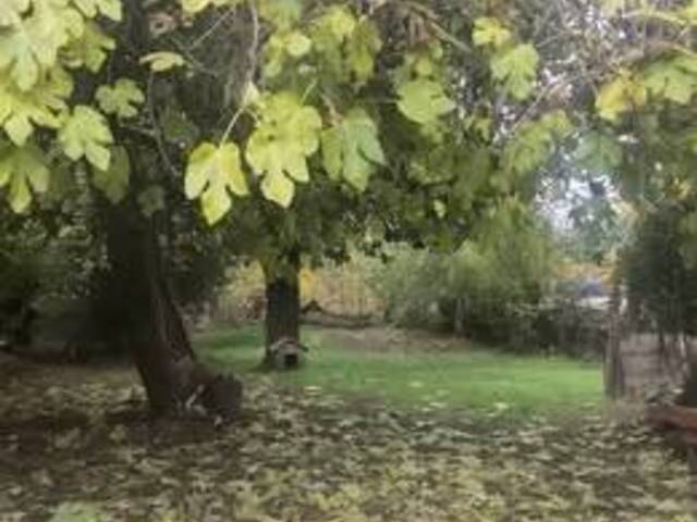 #80 - Casa para Venta en Bulnes - VIII