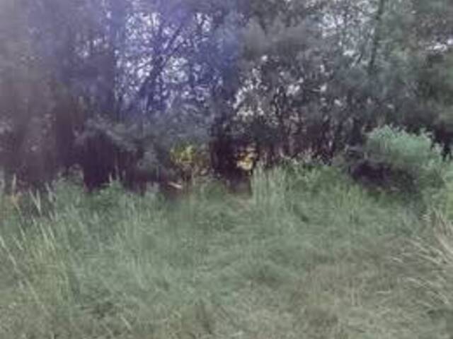 #81 - Área para Venta en Pinto - VIII