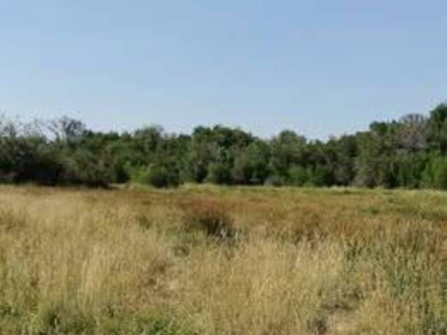 #81 - Área para Venta en Pinto - VIII