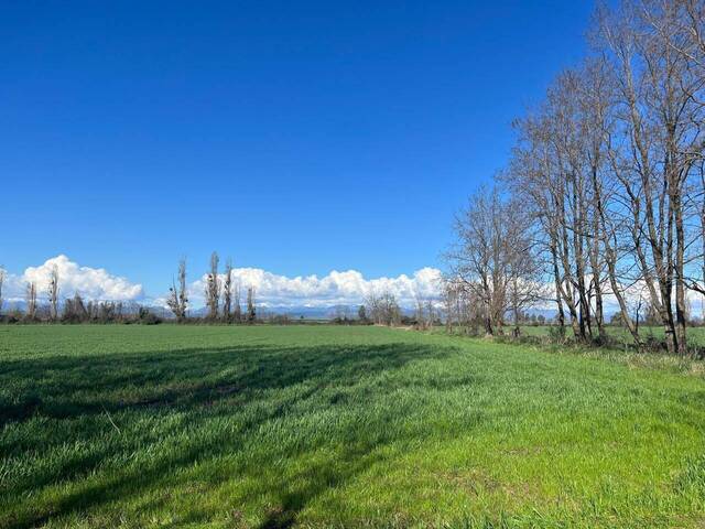 #110 - Área para Venta en Chillán - VIII - 1