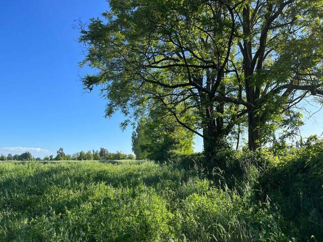 #110 - Área para Venta en Chillán - VIII - 2