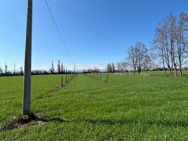 #110 - Área para Venta en Chillán - VIII - 3